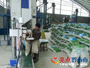 晴隆总投资800万元琳隆薏仁米加工厂建成投产，优化投资管理助力乡村振兴