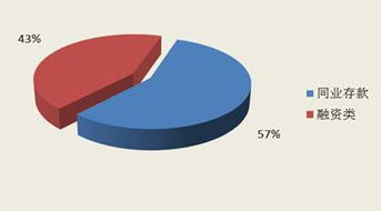 北京市分行投资管理 战略与实践